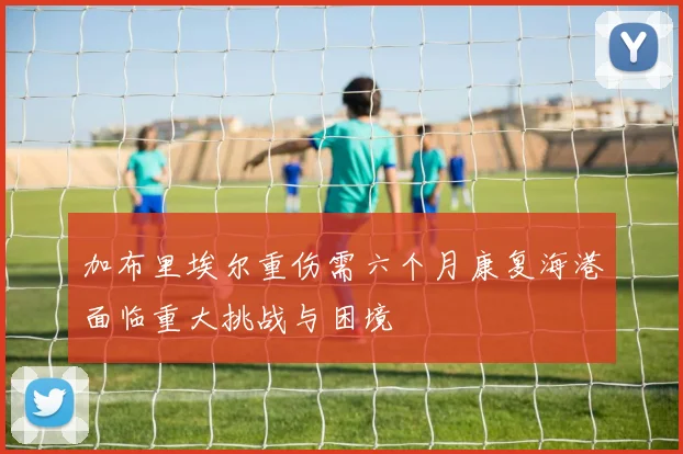 加布里埃尔重伤需六个月康复海港面临重大挑战与困境