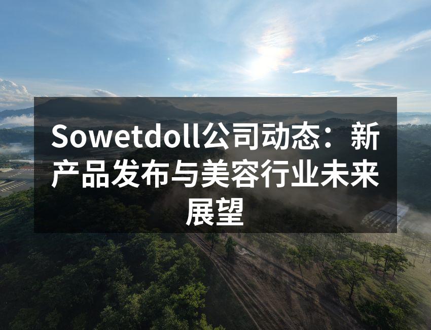 Sowetdoll公司动态：新产品发布与